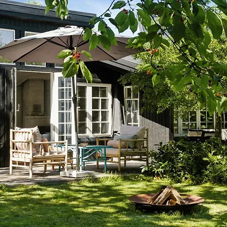 And Forest Close To House Дом отдыха