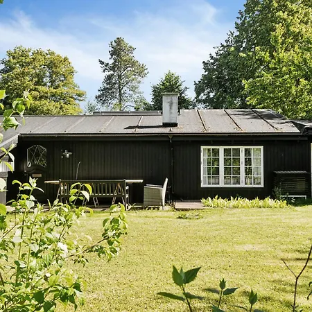 And Forest Close To House Тисвиллелайе