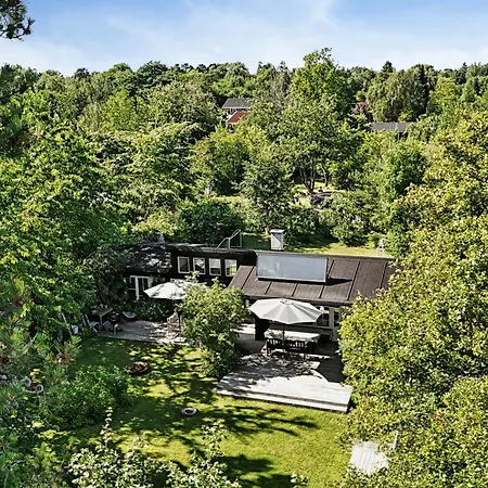 And Forest Close To House Дом отдыха