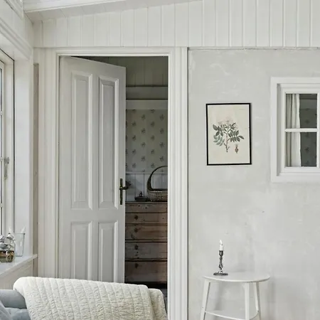 And Forest Close To House Тисвиллелайе