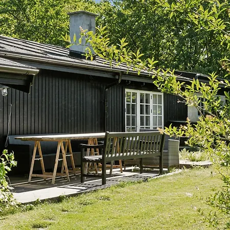 And Forest Close To House Дом отдыха